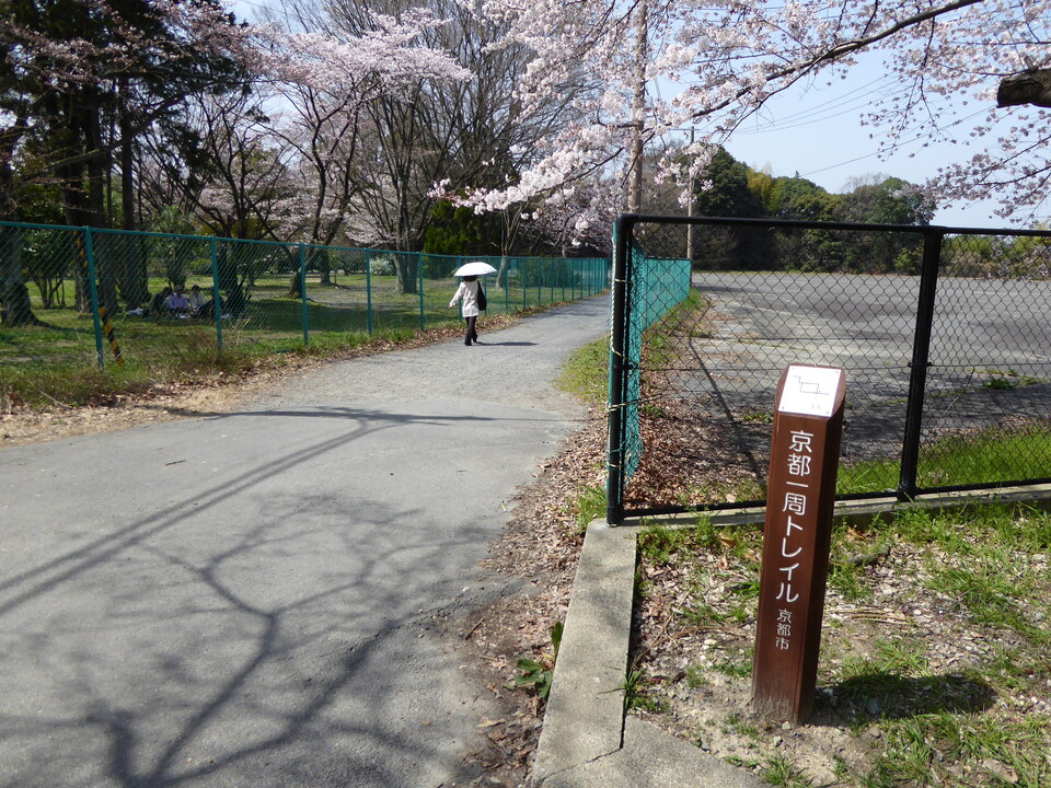 P1000663_mid.jpg