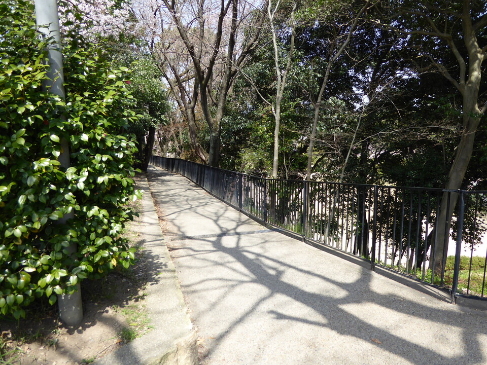 P1000665_mid.jpg