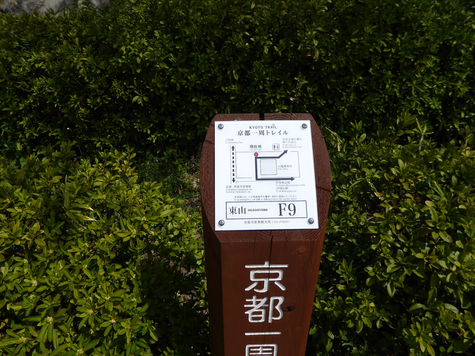P1000667_mid.jpg
