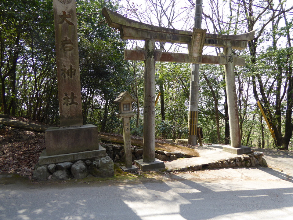 P1000698_mid.jpg
