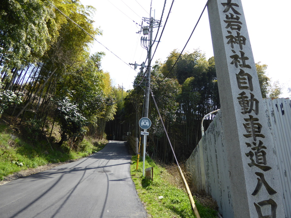 P1000700_mid.jpg