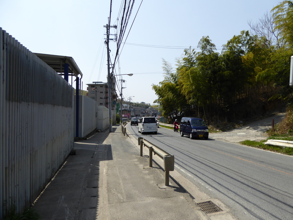 P1000701_mid.jpg