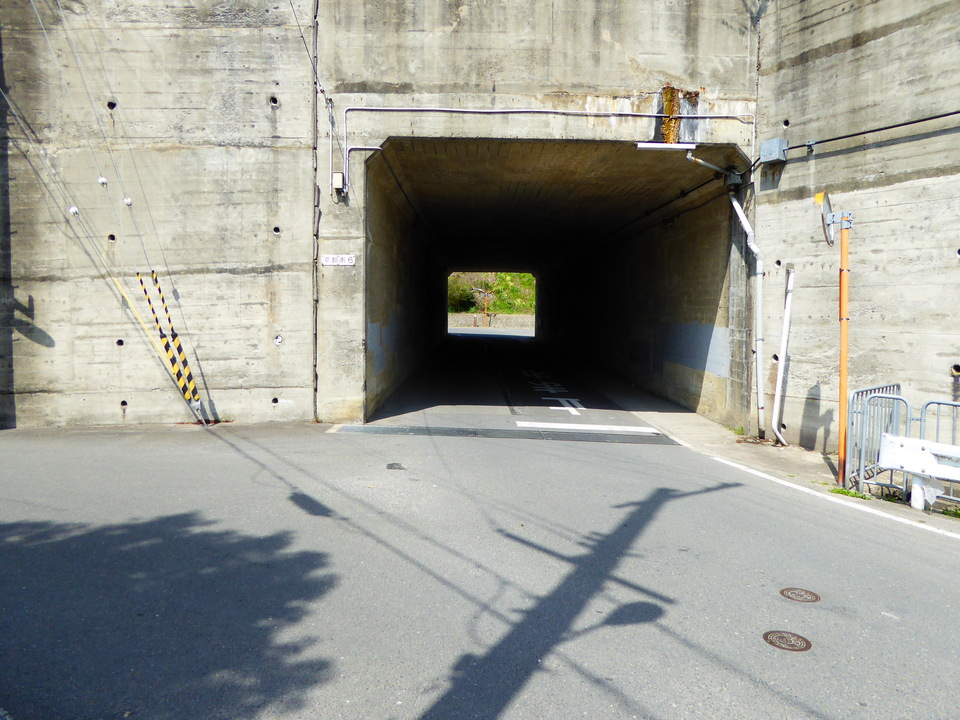 P1000712_mid.jpg