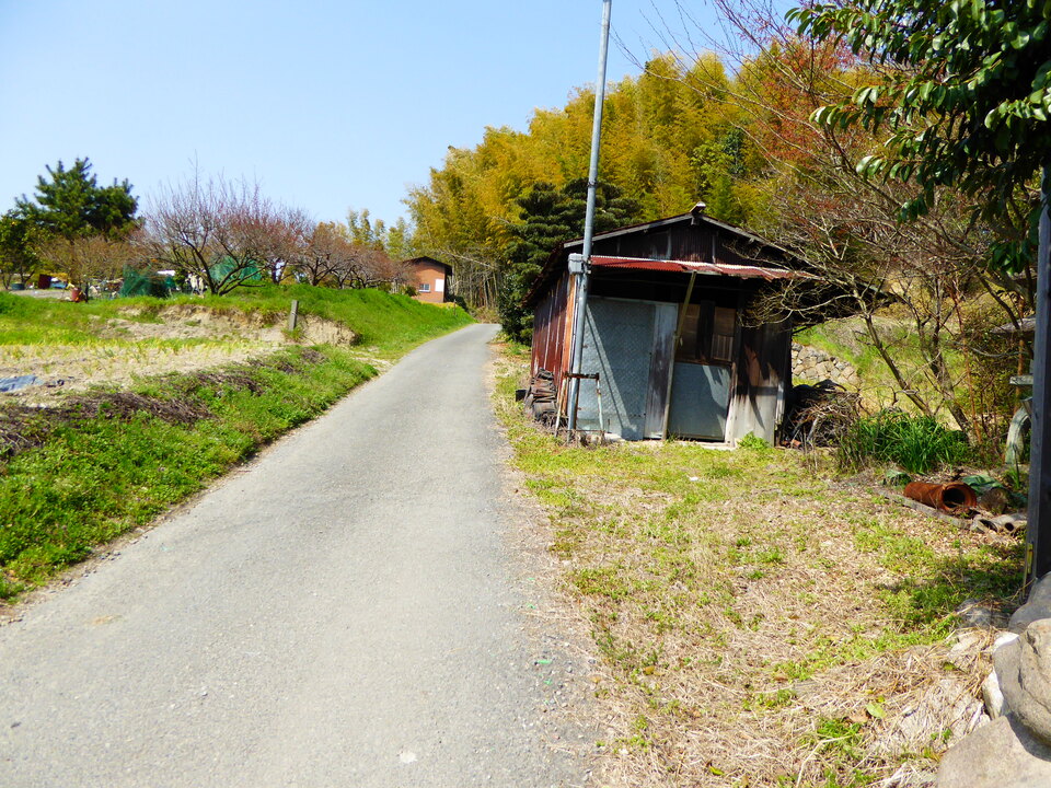 P1000722_mid.jpg