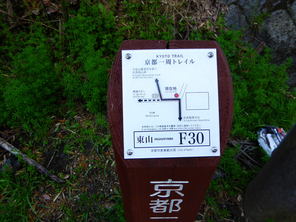 P1000726_mid.jpg
