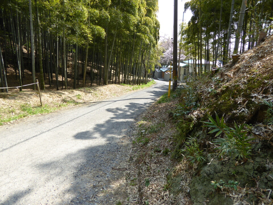 P1000737_mid.jpg