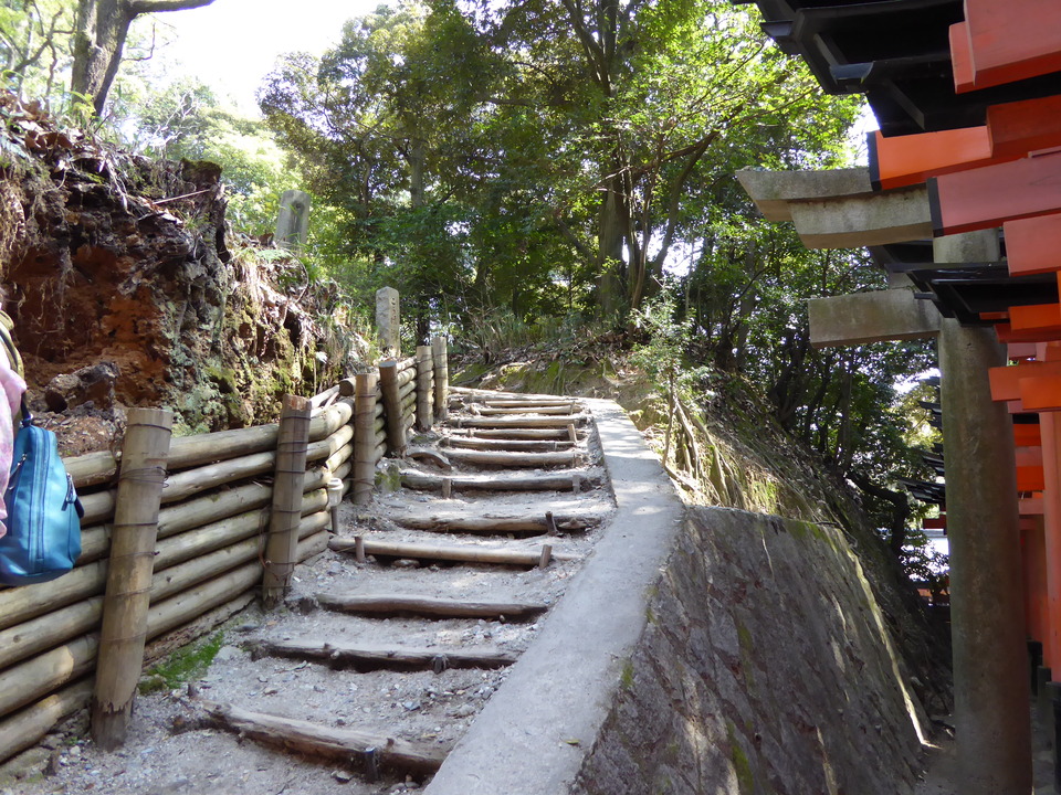 P1000739_mid.jpg