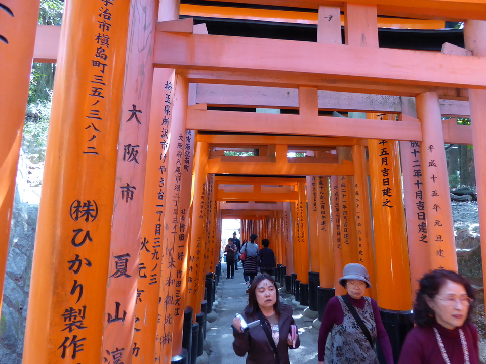 P1000741_mid.jpg