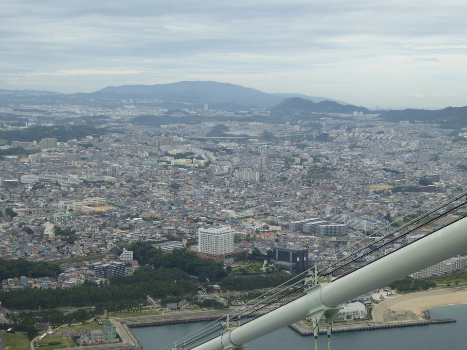 P1070395_mid.jpg