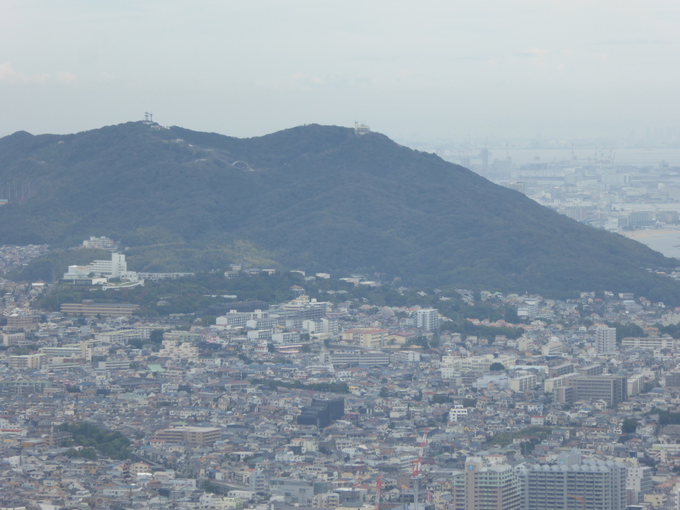 P1070428_mid.jpg