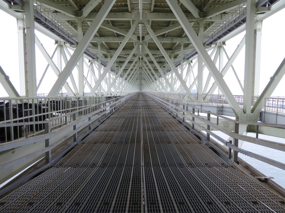 P1070442_mid.jpg