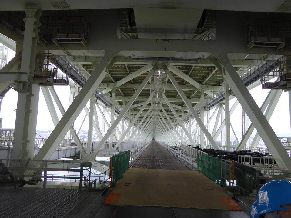 P1070446_mid.jpg