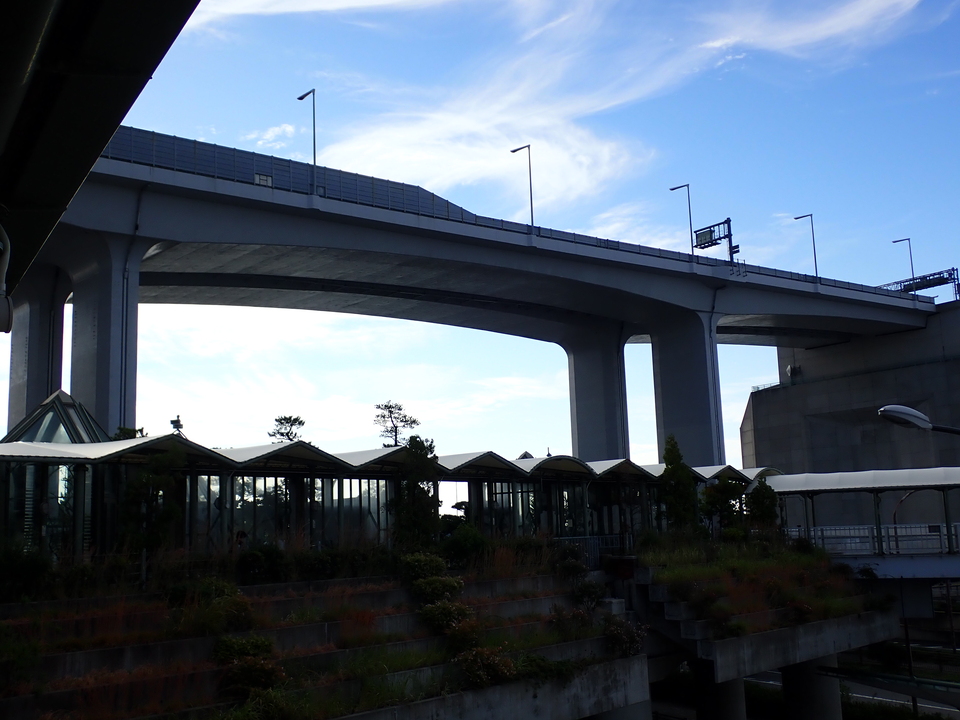 PA278253_mid.jpg