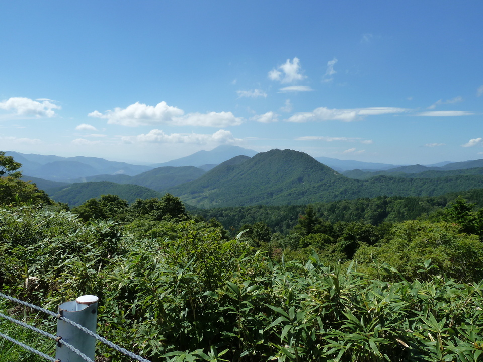 P1050190_mid.jpg