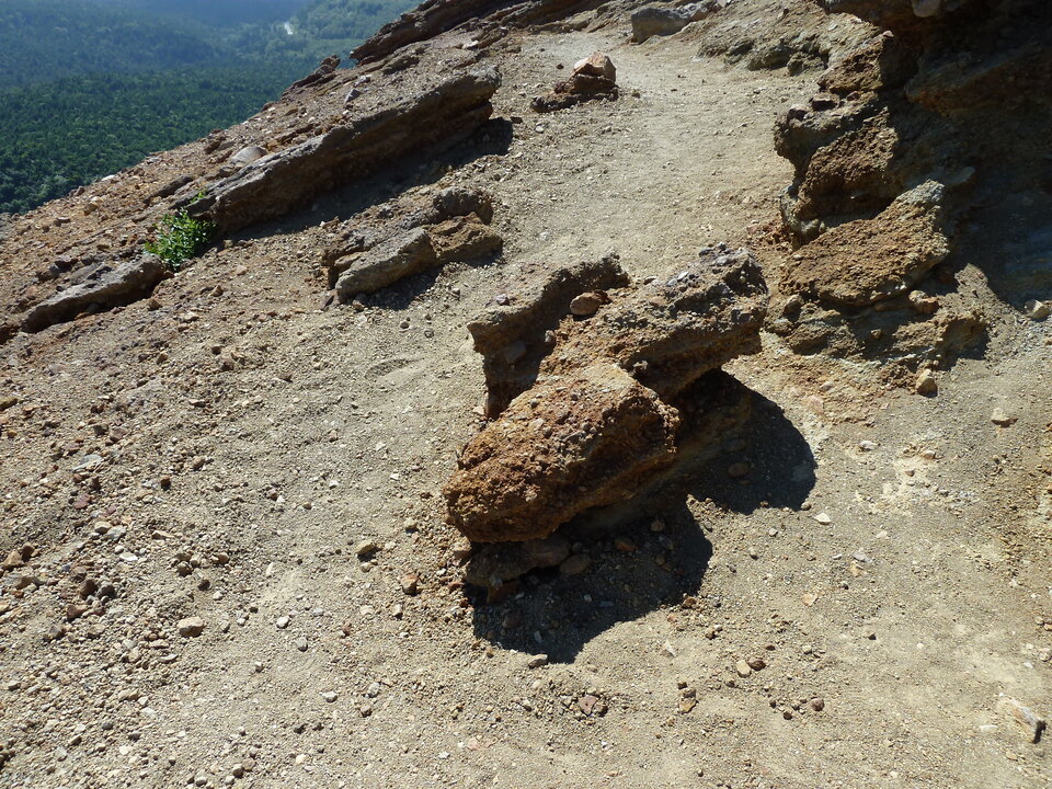 P1050257_mid.jpg