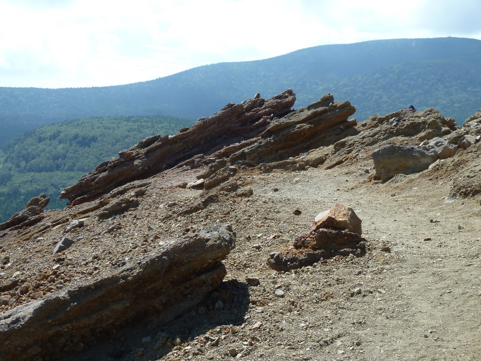 P1050258_mid.jpg
