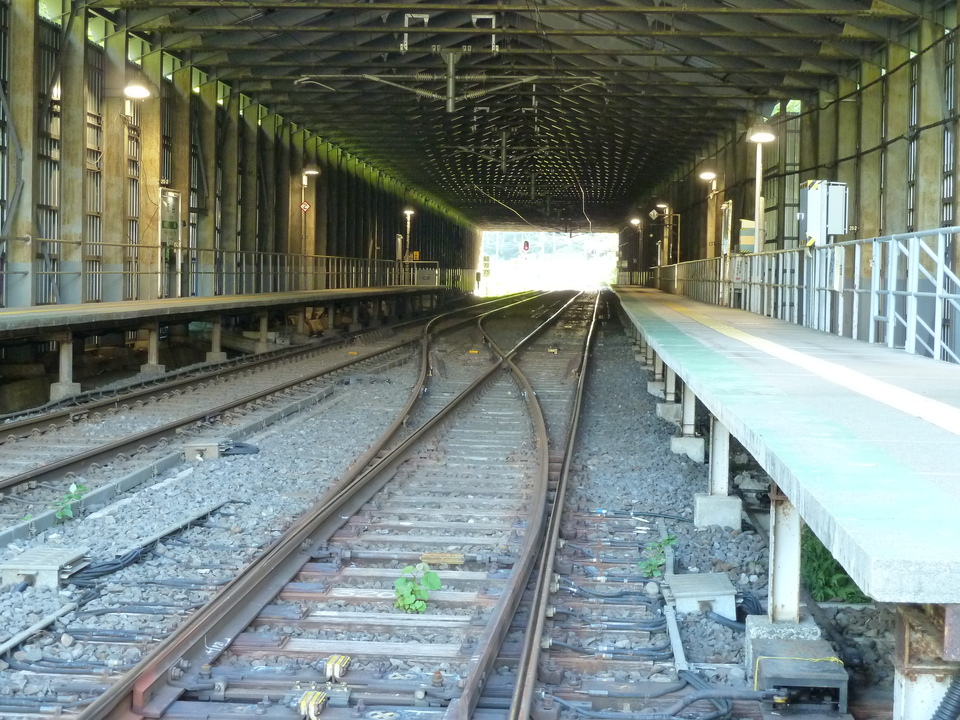 P1050336_mid.jpg