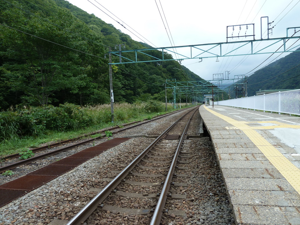 P1050481_mid.jpg