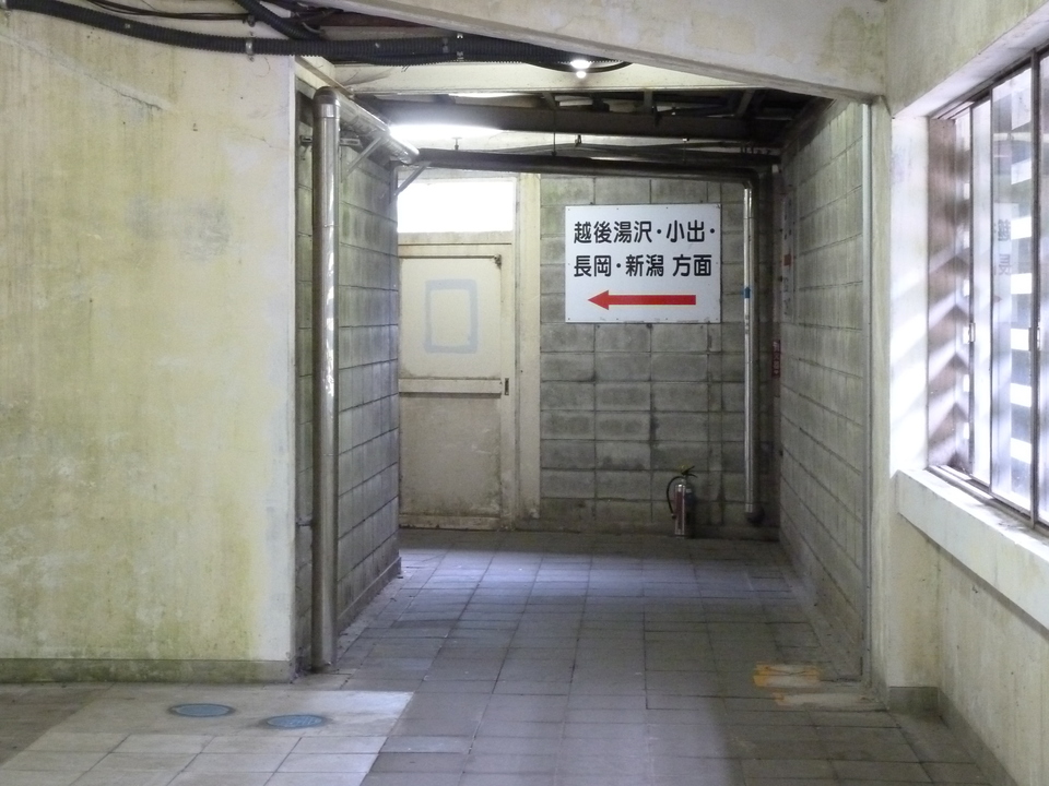 P1050494_mid.jpg