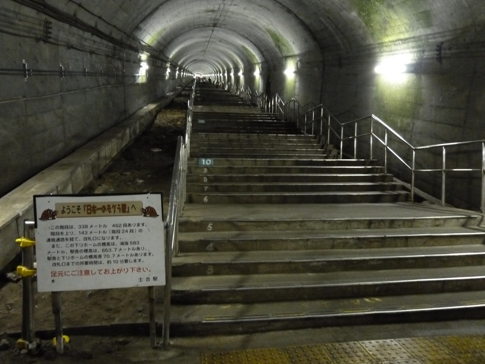 P1050528_mid.jpg