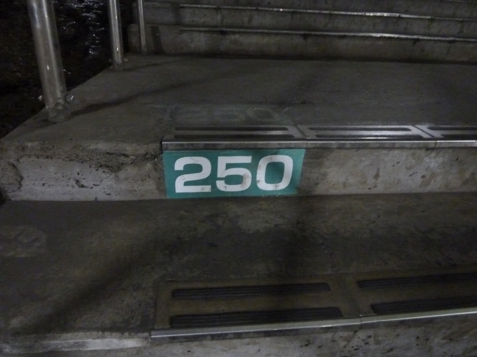 P1050549_mid.jpg