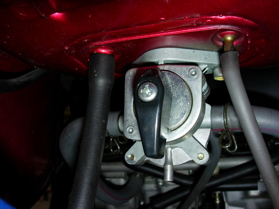 DSCN3647_mid.jpg