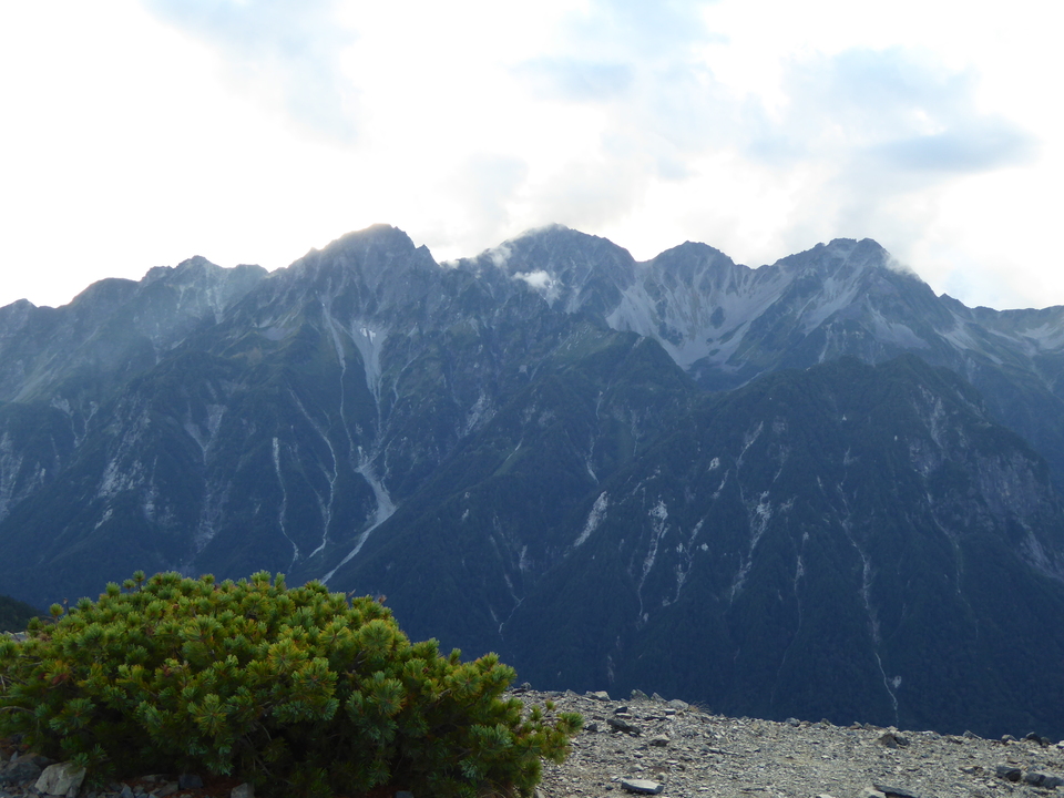 P1050593_mid.jpg