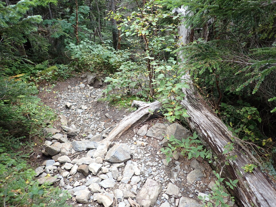P9100090_mid.jpg