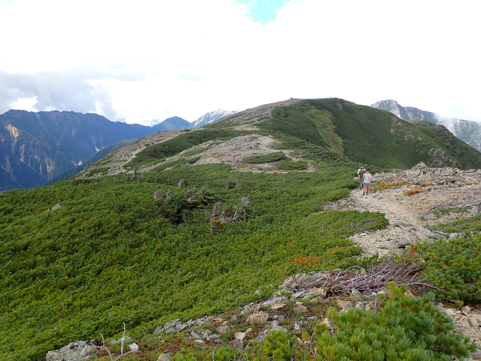 P9100116_mid.jpg