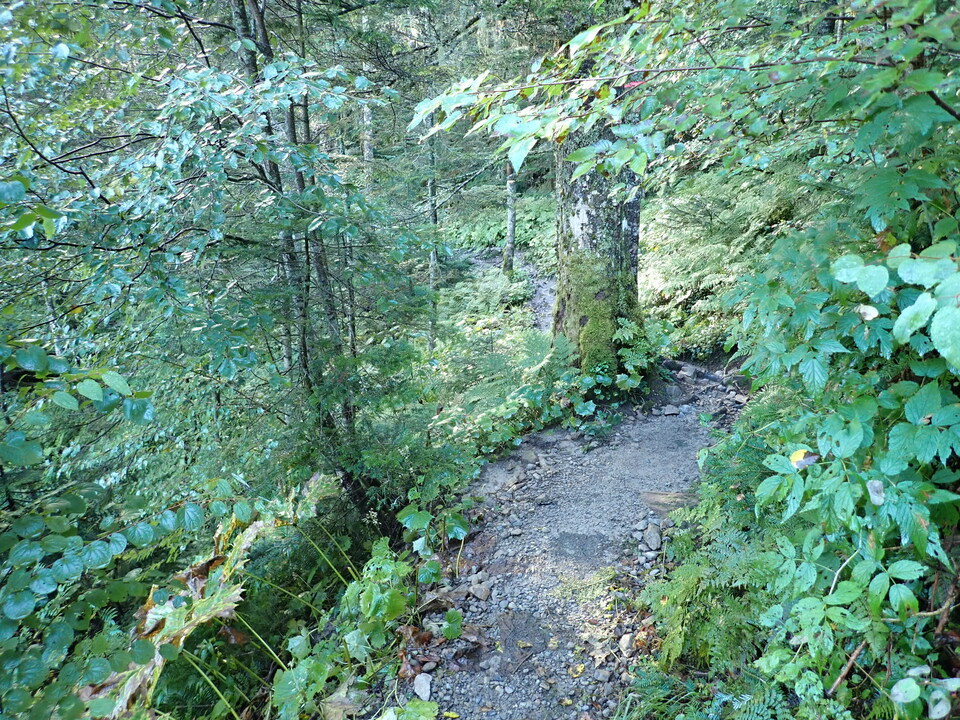 P9109876_mid.jpg