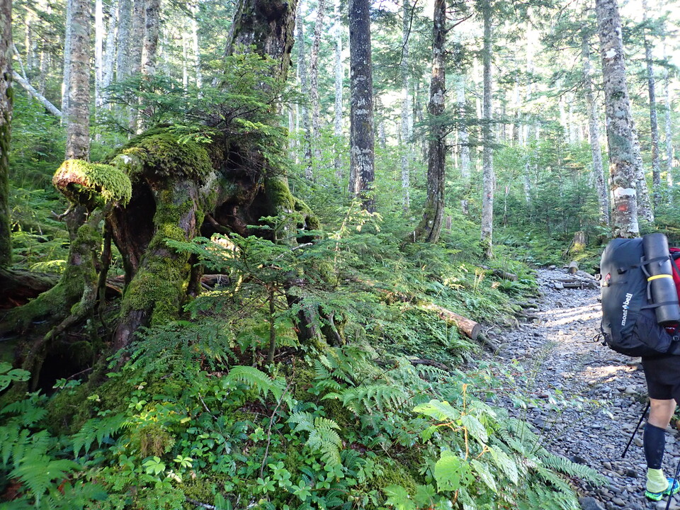 P9109879_mid.jpg