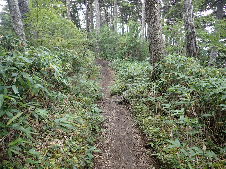 P9110466_mid.jpg