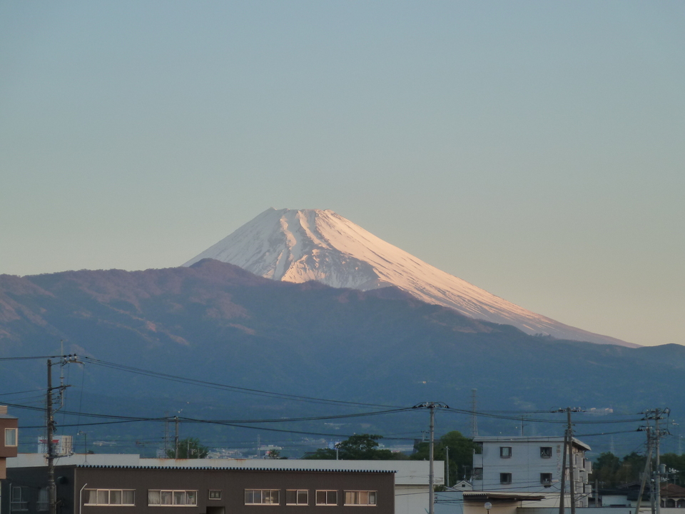P1060856_mid.jpg