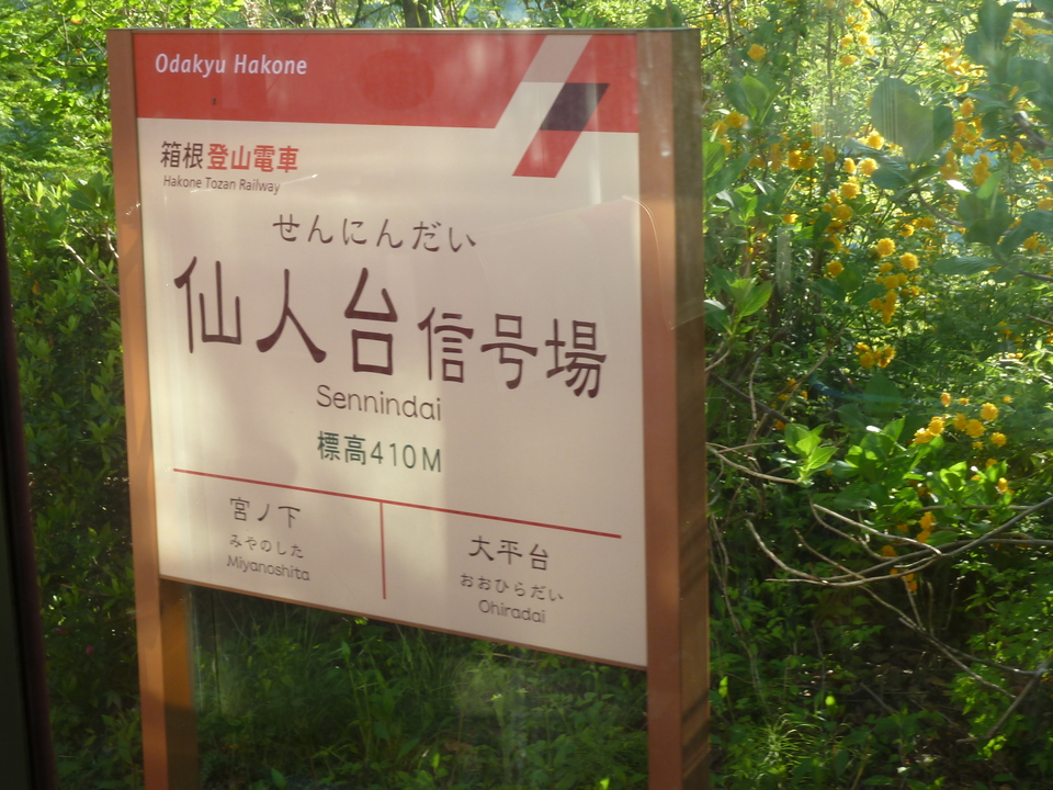 P1060885_mid.jpg