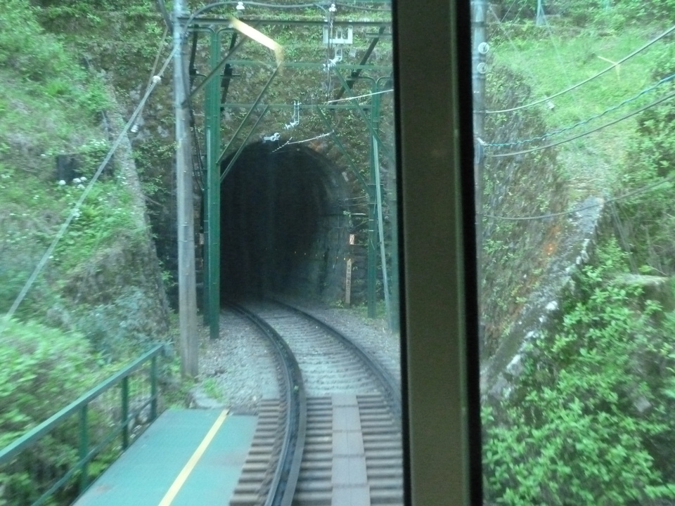 P1060888_mid.jpg