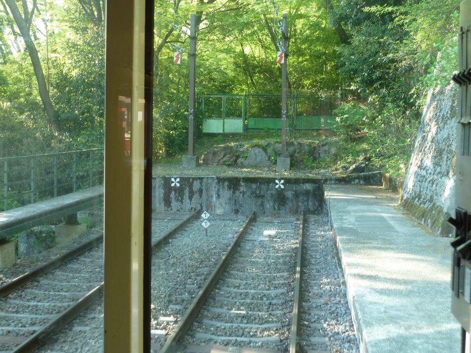 P1060893_mid.jpg