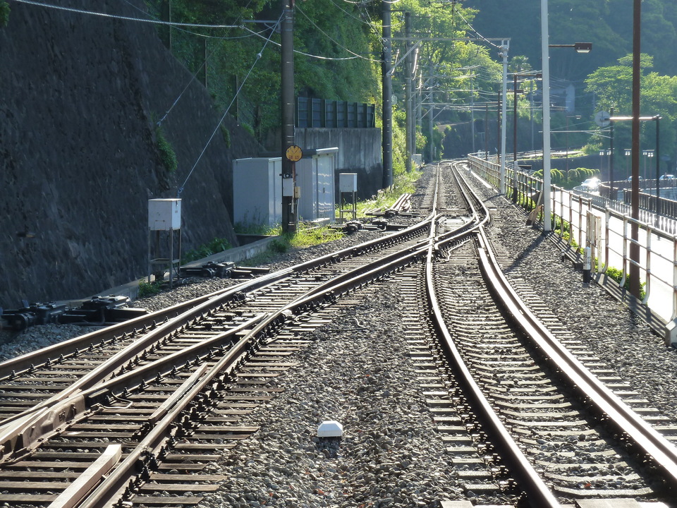 P1060916_mid.jpg