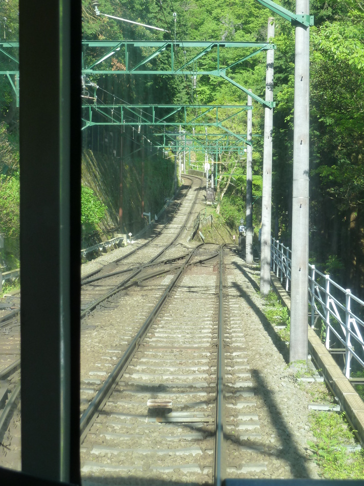 P1060937_mid.jpg