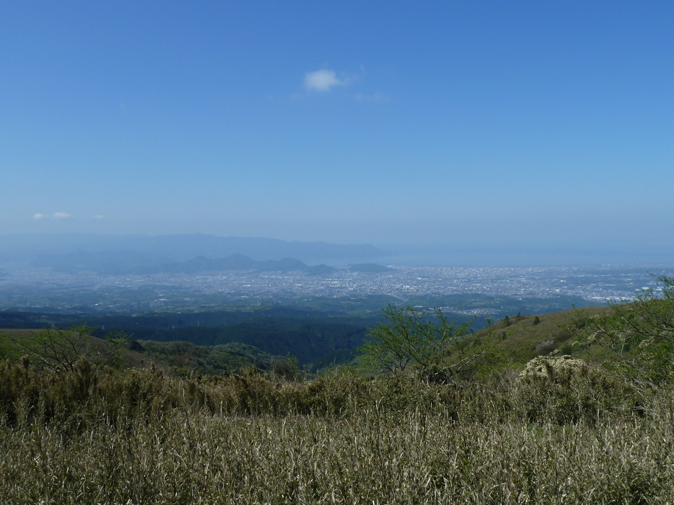 P1060975_mid.jpg