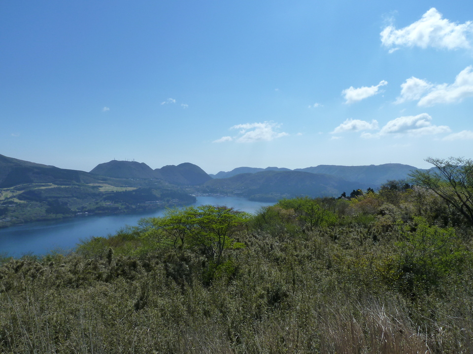 P1060978_mid.jpg