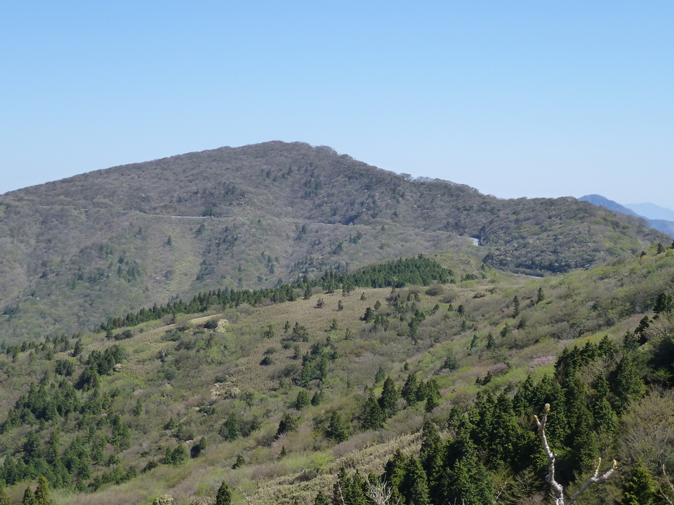 P1060984_mid.jpg