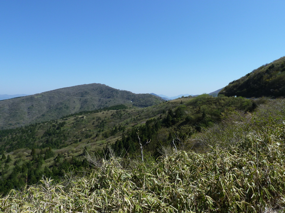 P1060985_mid.jpg