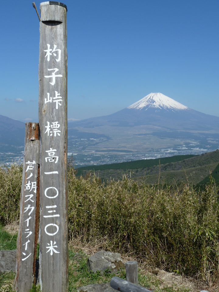 P1060987_mid.jpg