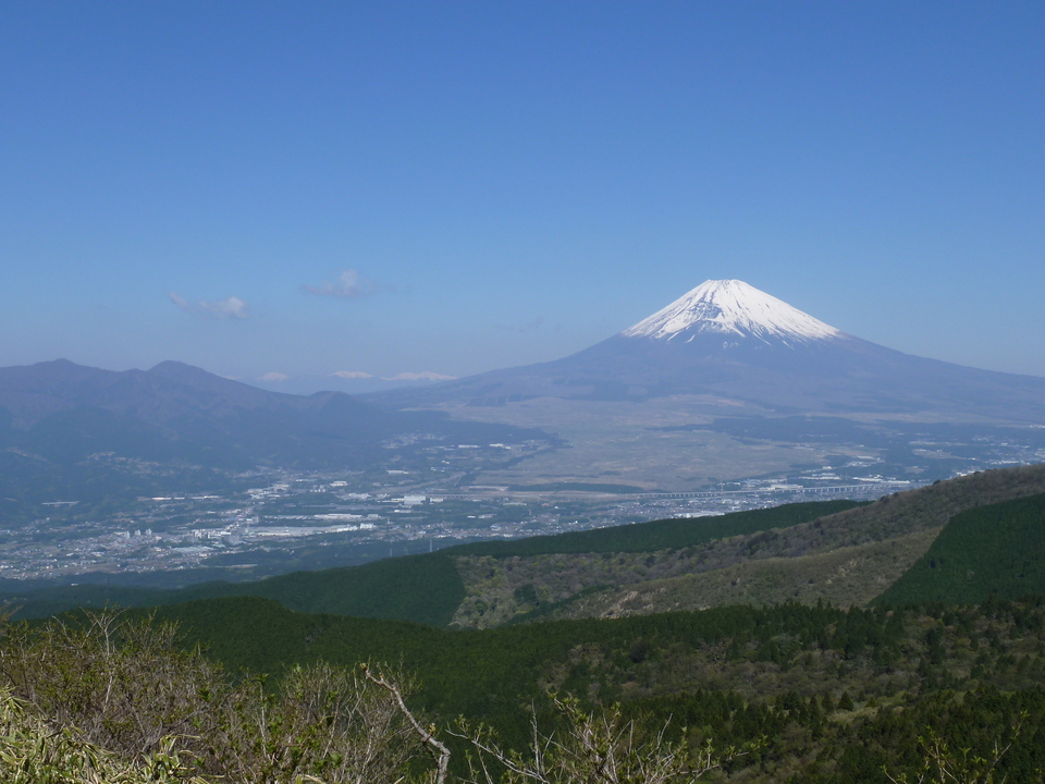 P1060993_mid.jpg