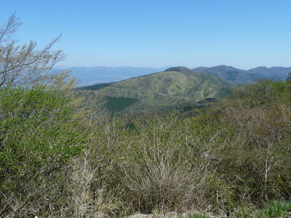 P1070006_mid.jpg