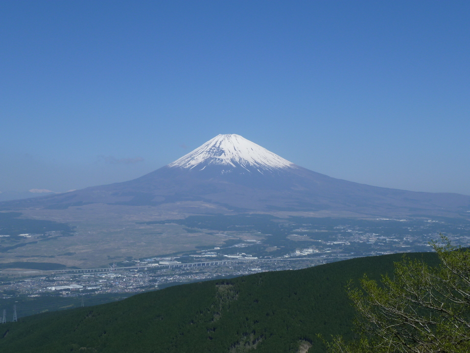 P1070007_mid.jpg