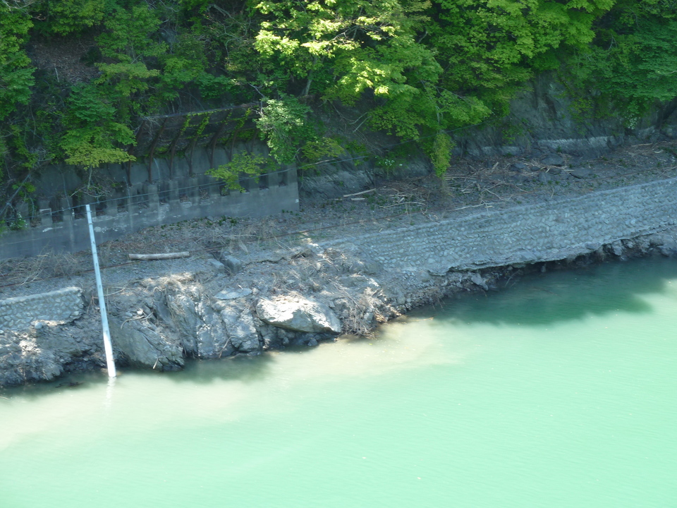 P1070085_mid.jpg