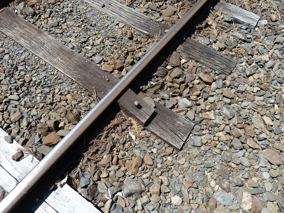 P1070126_mid.jpg