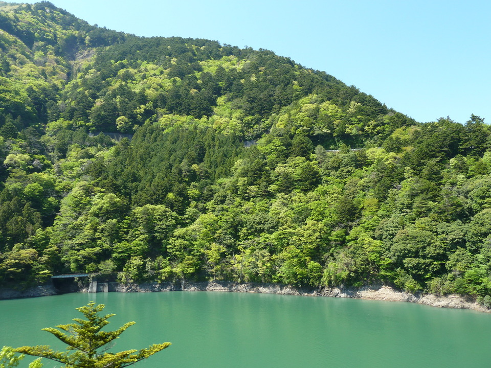 P1070139_mid.jpg