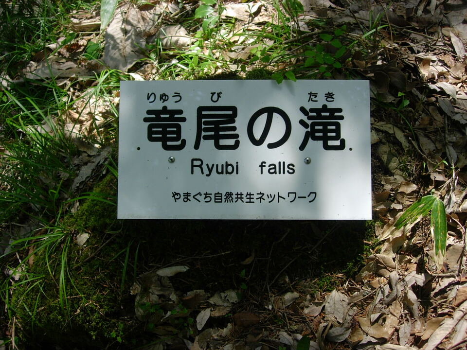 DSCN5401_mid.jpg